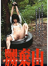 MAD-103 Kakiyama Captured Girl 2 Koyuki Thumbnail
