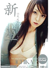 MIDD-182 Nova ICHIKA Thumbnail