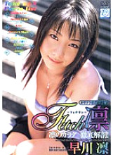 NOV-8342 Fetch Rin Hayakawa Rin Thumbnail