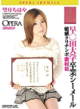 OPUD-077 Hayaden University Graduated Shemale Chihaya Mochizuki Thumbnail