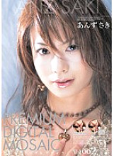 PGD-004 Premier Digital Mosaic Vol.002 Saki Anzu - Anzusaki