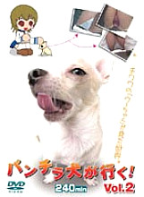 PUROD-072 Panchira dog goes! Vol.2 Thumbnail