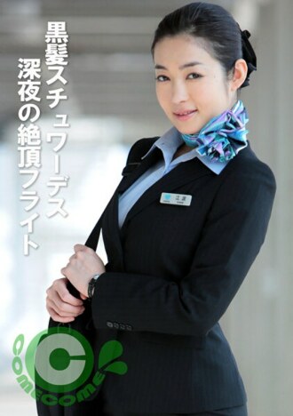 PYU-377 Black-haired stewardess: Midnight orgasm flight Thumbnail
