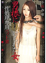RBD-178 Saki Kozakura, a pet wife dedicated to female sex processing disciplined by a cock Thumbnail