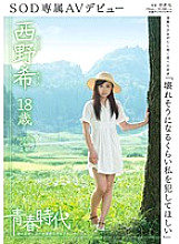 SDAB-002 "I want you to commit me so much that it seems to break" Nozomi Nishino 18 years old SOD exclusive AV debut Thumbnail