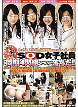 SDMS-482 Hana joined the company in 2006 SOD female employee Four good friends have finally fallen! ! Thumbnail