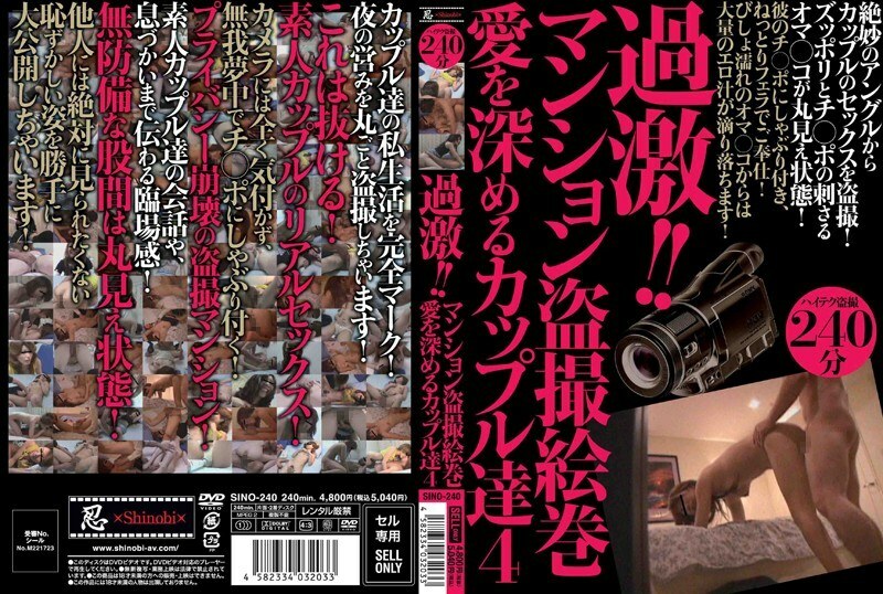 SINO-240 Radical! ! Mansion Voyeur Picture Scroll Couples Deepening Love 4 Thumbnail