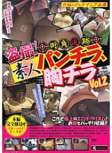 SINO-311 Voyeur! Street Corner Tracking Amateur Panty Shots, Breast Shots Vol2 Thumbnail