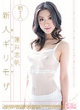 SOE-077 Rookie x Risky Mosaic Rookie Risky Mosaic Shiho Hasui Thumbnail