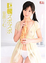 SOE-958 Big Cock Rimu Sasahara Thumbnail