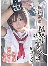 STAR-543 Slut ● Training M guy ● School girls who fall into Mana Sakura Thumbnail