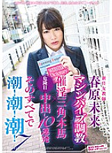 SVDVD-402 New Female Teacher Machine Vibrator Training x Aphrodisiac Triangular Horse x 10 Consecutive Dangerous Daytime Cum Shots All That! tide! tide! 7 Miku Sunohara