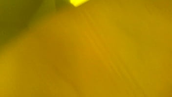 Amateur, Streight - Amateur - 2025 - Passionate - Performance - Video 5986628