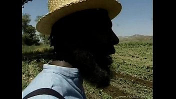 Homey-in-the-haystack