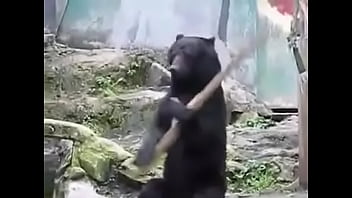 Amazing, This, Panda, Faking - Unknown - 2025 - Hot - Performance - Video 5985228