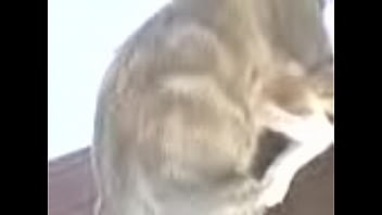 Step Brother And Sister Sex