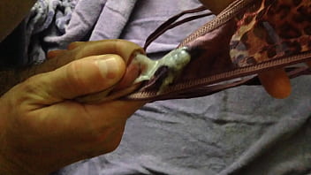 Gozando Gostoso Na Calcinha Usada De Uma Amiga