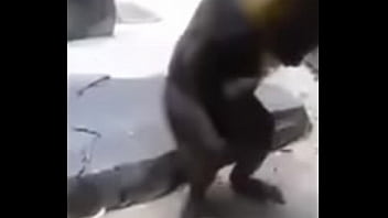 10969707 1526810287602535 713753915 n