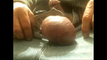 Putting The Green Castrator Band Onmy Huge Nuts