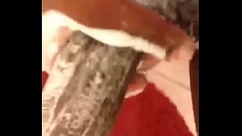 10976712 433774820106828 671733500 n