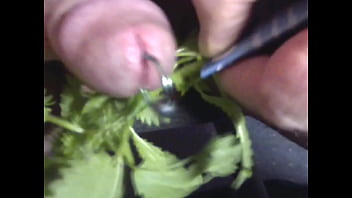 Cock, Bdsm, Fetish, Sado, Pain, Extreme, Pierced, Masochism, Sadism, Punishment, Cbt - Bdsm - 2025 - Intense - Scene - Video 6471783