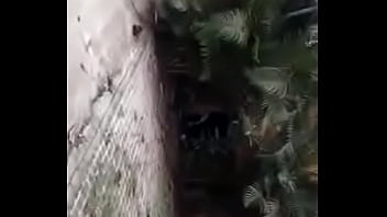 trim.5B38D56B-7955-4FC6-83D8-54A9D8F9A93D