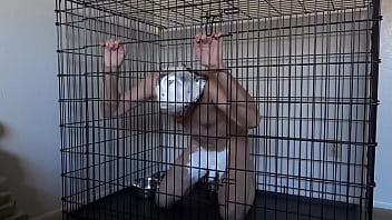 Pet, Cage - Unknown - 2025 - Amazing - Show - Video 5990949