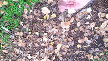 Pissing In The Park