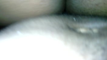 Mariah A Freak Dick Suckin Dog