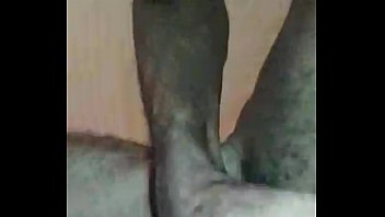 Coroa Dotado Whatsapp 05