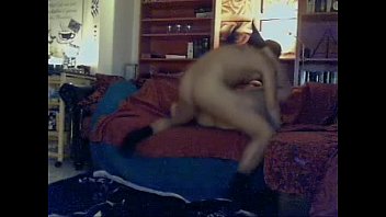 Gay, Bareback, Blinddate - Gay - 2025 - Wild - Show - Video 5730683