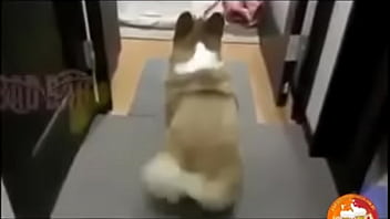 10981045 10154816456136515 536213326 n