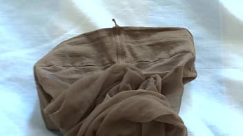 Nylon, Tights - Unknown - 2025 - Amazing - Performance - Video 5697013