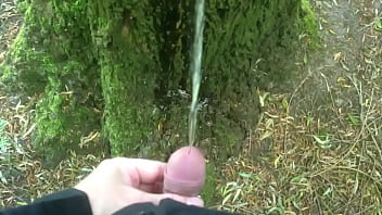 Man Pissing On A Tree