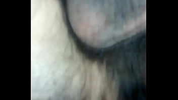 Bruno E Bernardo: Fudendo Gostoso No Pau Peludo