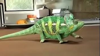 ⁣VID-20150428-WA0013 - Fucking-fuck