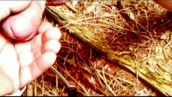 Geiler Fick Im Wald Mit Einer Sklaven Sau