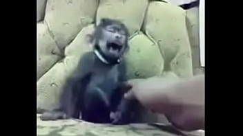 Unknown - 2025 - Incredible - Scene - Video 6459793