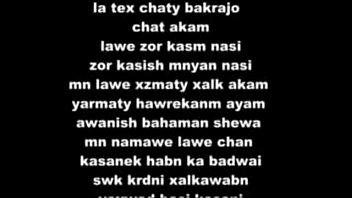 Amir - Unknown - 2025 - Wild - Show - Video 6531680