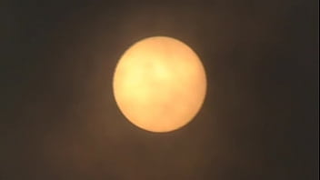 666 ANGEL ELVIS ABELLARD 006