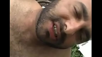 Ursos Grandes Peludos E Mansos Chunk 3