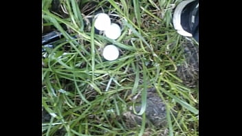 Anal, Gay, Nature, Assplay, Eggs - Gay - 2025 - Amazing - Performance - Video 5849783