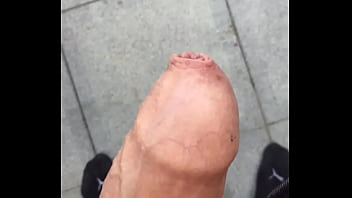 trim.FA7E3C54-3862-44E6-8A86-8A8FB5B25095