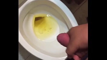 Had To Bust In The Toilet