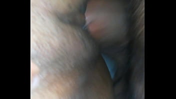 Chorito Insaciable Chilena