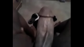 Black, Solo, Dick, Fat, Jerking, Off, Bbw, Jack, Fanny, Soloboy - Exotic - 2025 - Intense - Experience - Video 6525750