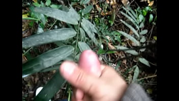 Cum, Dick, Jerking, Brazil, Outdoors, Porra, Wood, Soloboy, Bosque, Pica - Bukkake - 2025 - Passionate - Experience - Video 6338426