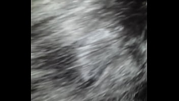 Brittney Sucking That Dick Nasty