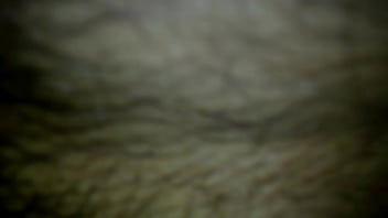 Probando Camarita Celular Emaj