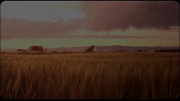 229347131 blessed SD